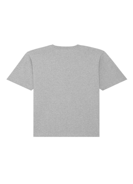 Tee-shirt Freestyler Gris Chiné | Stanley-Stella