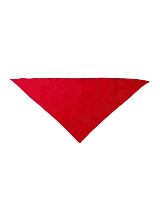 Bandana Fiesta | K-UP