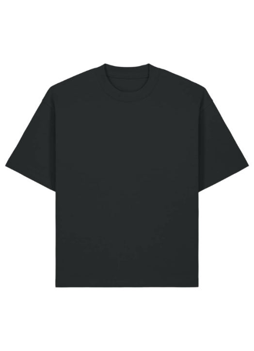 Tee-Shirt Boxy Asher | Stanley-Stella