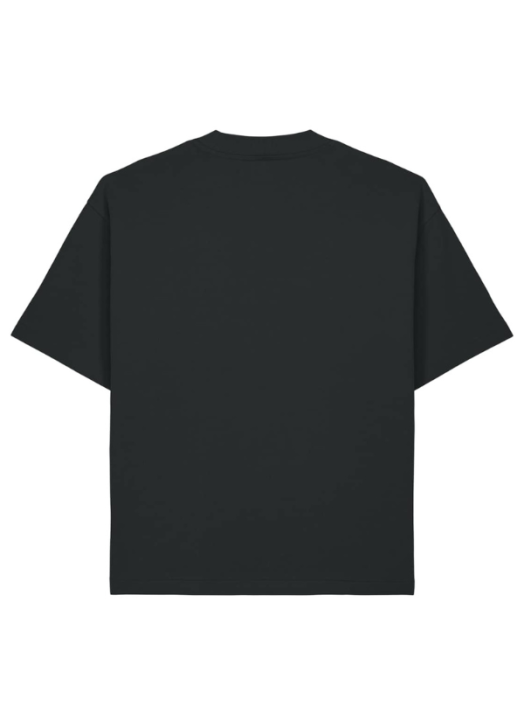 Tee-Shirt Boxy Asher | Stanley-Stella